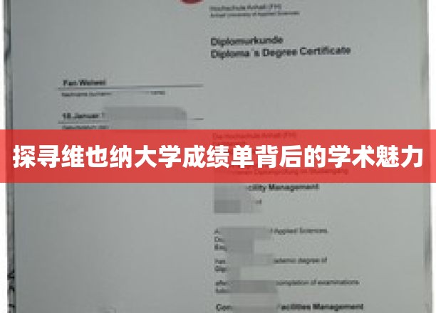 揭开维也纳大学成绩单背后的学术奥秘