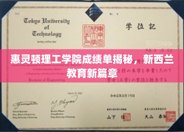 惠灵顿理工学院成绩单揭秘，新西兰教育新篇章