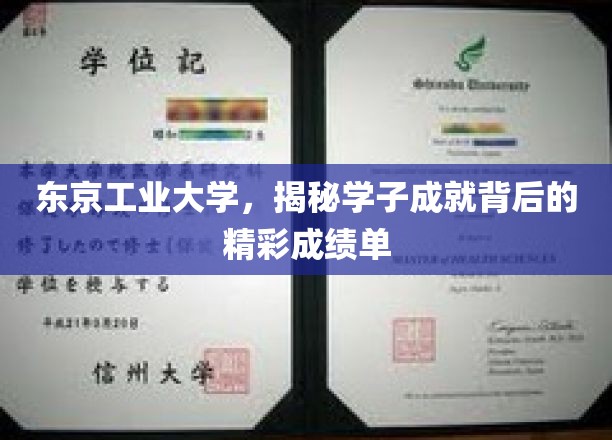 解码东京工业大学，学子辉煌成就背后的璀璨成绩单