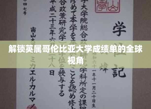 全球视野下的英属哥伦比亚大学成绩单揭秘之旅