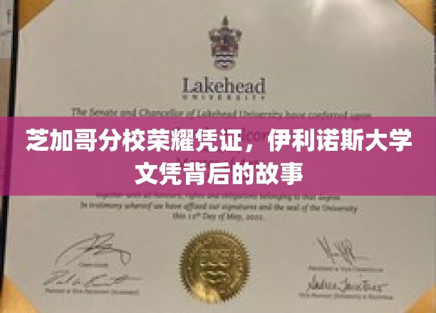 伊利诺斯大学芝加哥分校荣耀见证，探寻文凭背后的传奇历程
