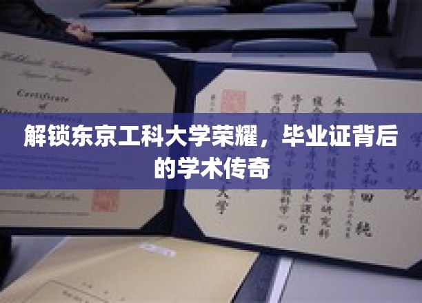 解锁东京工科大学荣耀，毕业证背后的学术传奇