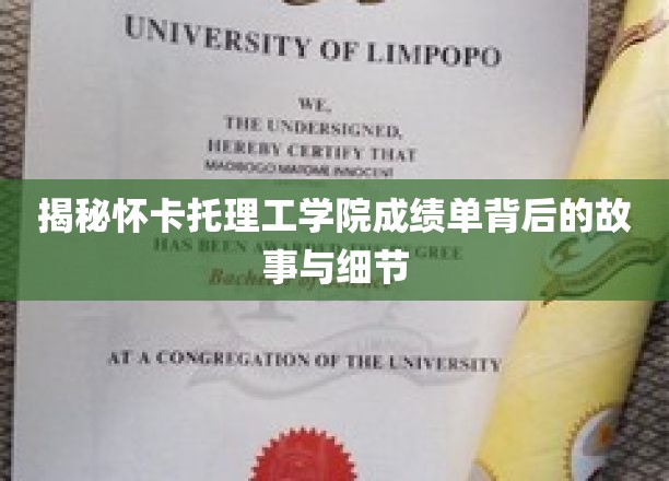 探寻怀卡托理工学院成绩单背后的奥秘与真相