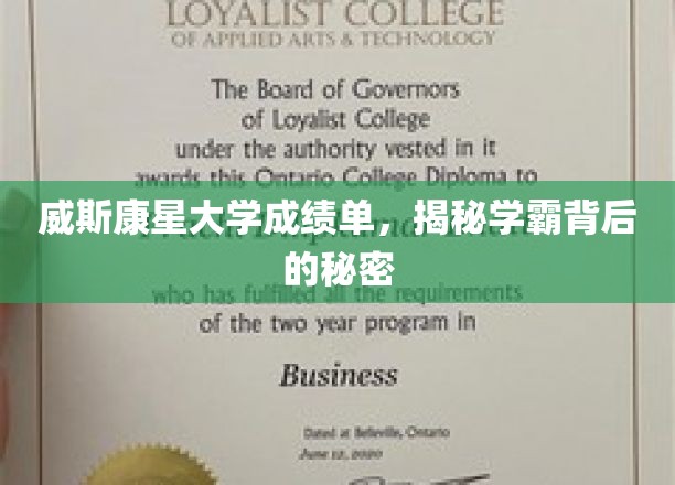 揭秘威斯康星学霸，背后的成绩单藏着哪些秘密？