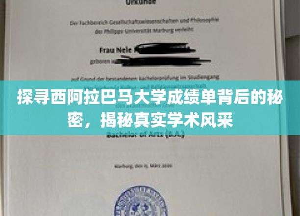 解码西阿拉巴马大学成绩单，一窥学术风采的神秘面纱
