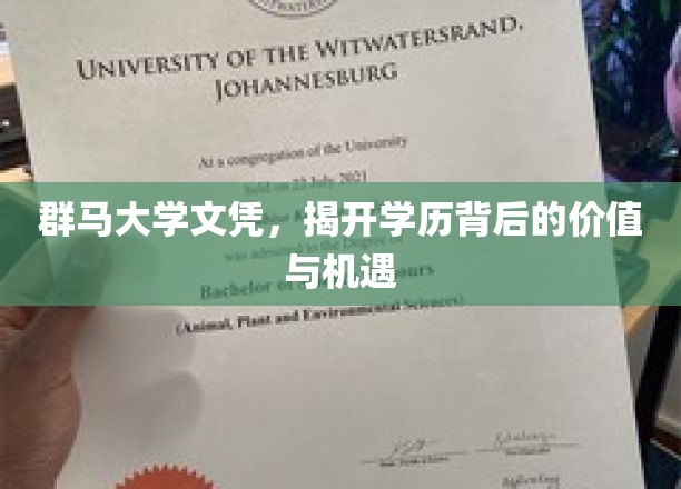 群马大学文凭，揭开学历背后的价值与机遇