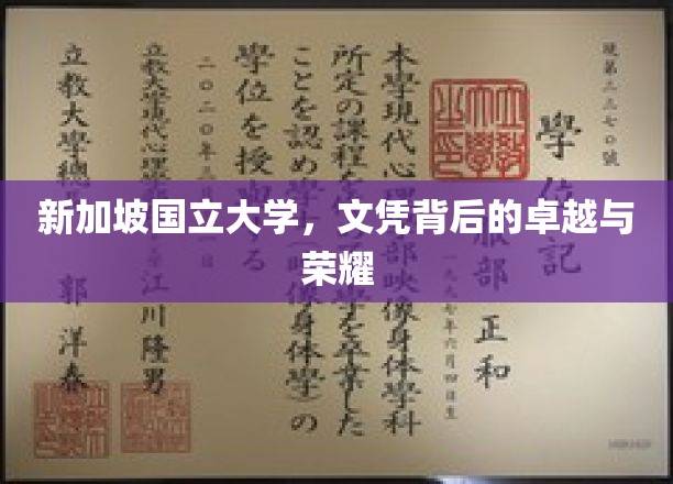 解码狮城荣耀，新加坡国立大学文凭的非凡魅力