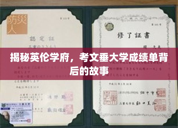 解码英伦名校，考文垂大学成绩单中的传奇篇章