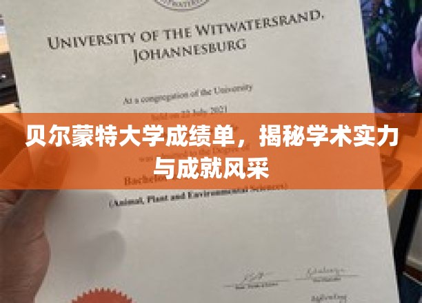 贝尔蒙特大学成绩单，彰显学术实力与成就风采