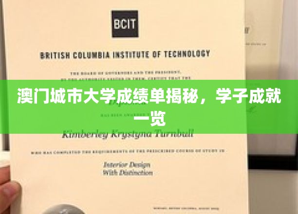 澳门城市大学成绩单揭秘，学子成就一览
