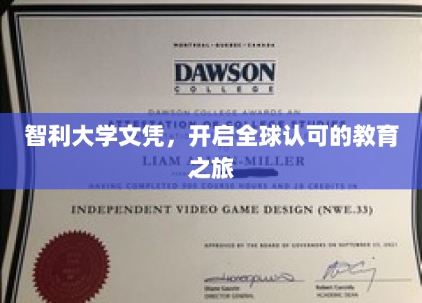 跨越国界，智利大学文凭引领国际教育新篇章