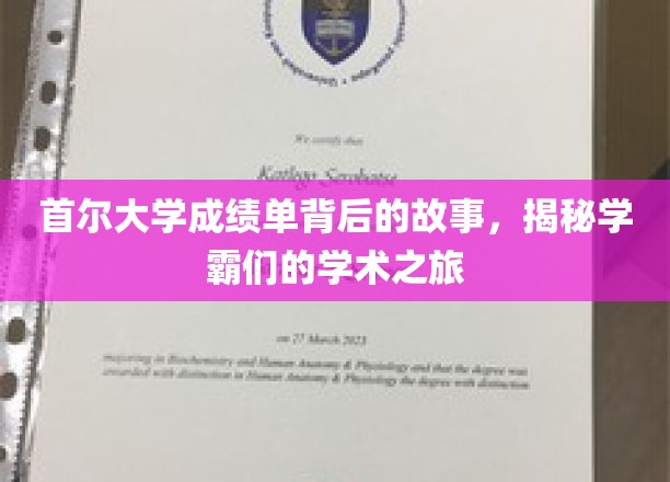 探寻首尔大学学霸秘籍，揭秘学霸背后的学术传奇