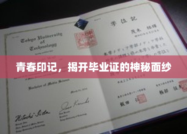 时光封印，毕业证背后的青春密码