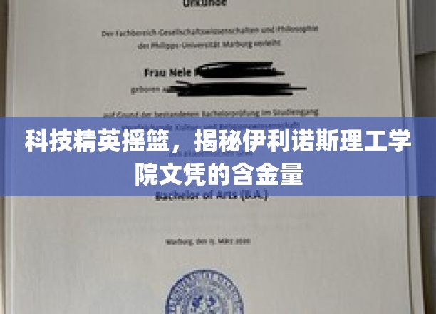 伊利诺斯理工学院，文凭背后的卓越实力与无限潜力