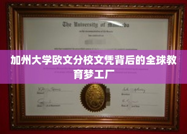 全球精英摇篮，揭秘加州大学欧文分校的文凭传奇