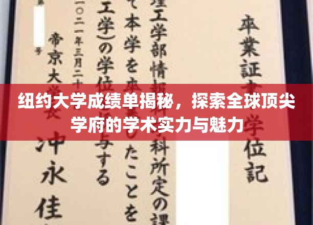 纽约大学成绩单揭秘，探索全球顶尖学府的学术实力与魅力