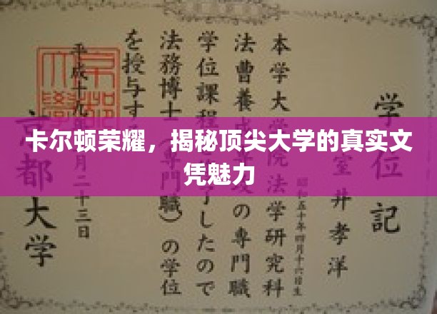 卡尔顿荣耀：揭秘顶尖大学的真实文凭魅力