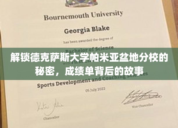 探寻德克萨斯大学帕米亚盆地分校的神秘面纱，揭开成绩单背后的传奇故事