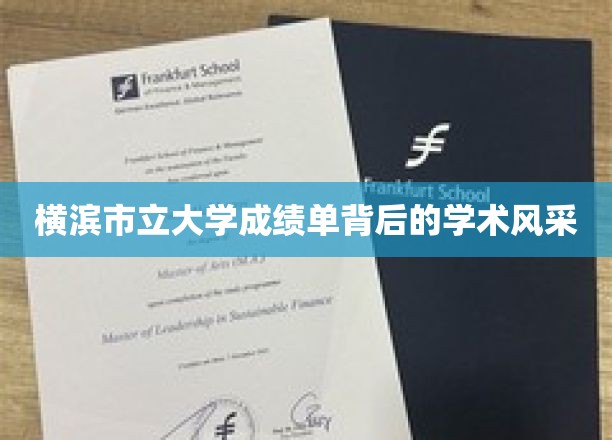 解码横滨市立大学，成绩单下的学术魅力探秘