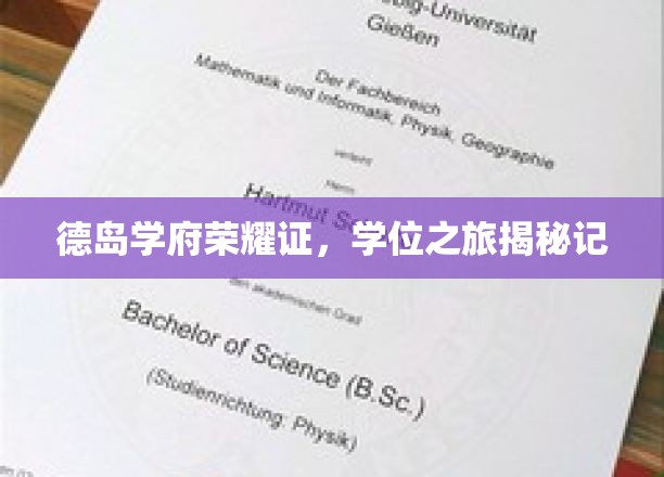 德岛学府荣耀之路，探寻学位之旅的神秘面纱