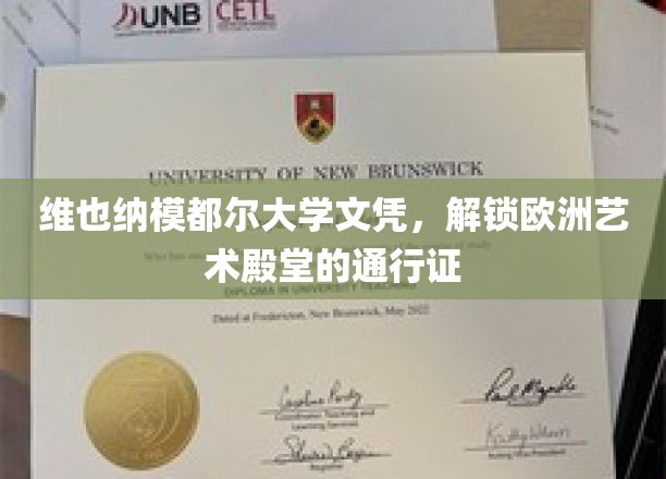 欧洲艺术之旅的开启钥匙，维也纳模都尔大学文凭的魅力