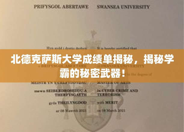 探寻北德克萨斯学霸秘籍，揭秘高效学习之道