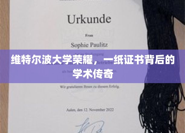 维特尔波荣耀见证，证书背后，揭秘学术传奇之旅