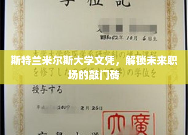 斯特兰米尔斯大学文凭，开启未来职场的大门