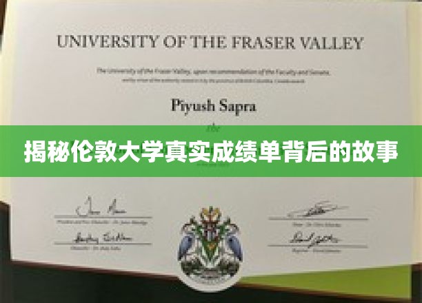 揭开伦敦大学成绩单神秘面纱，一场关于学术诚信的探秘之旅