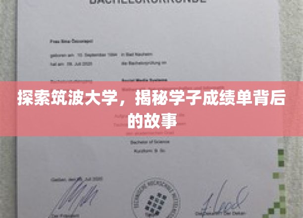 探索筑波大学，揭示学子成绩单背后的故事