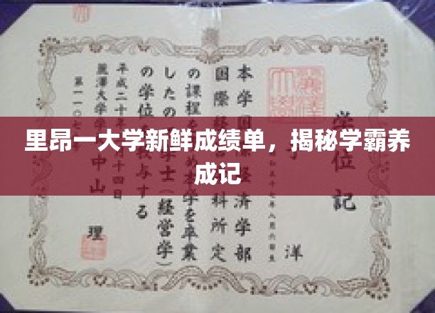 解码里昂大学学霸养成之路，新鲜成绩单背后的故事