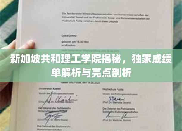 新加坡共和理工学院深度揭秘，成绩单解析与独到亮点洞察