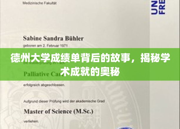 解码德大成绩单，探寻卓越学术成就的秘境