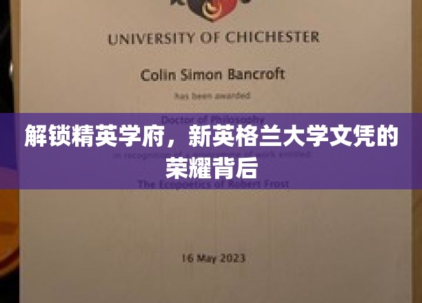探寻新英格兰大学，精英光环背后的辉煌历程