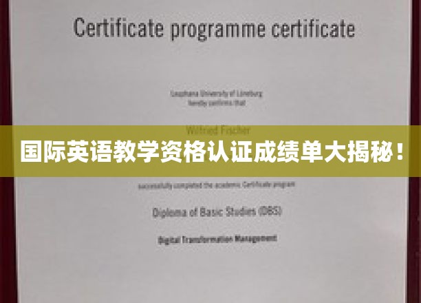 揭秘国际英语教师资格认证，成绩单背后的真实实力展现