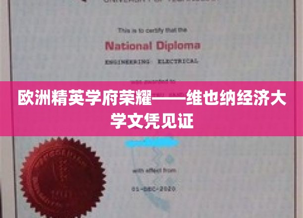 欧洲精英学府荣耀——维也纳经济大学文凭见证