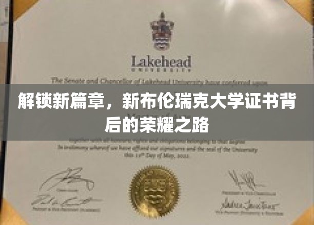 探索荣耀足迹，新布伦瑞克大学证书背后的非凡旅程