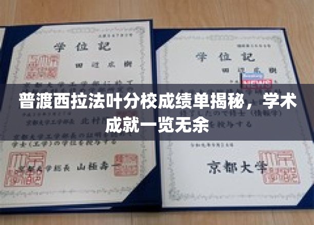 普渡西拉法叶分校成绩单揭秘，学术成就一览无余