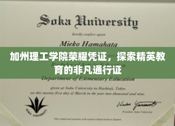 加州理工荣光，揭秘精英学府的神秘通行证