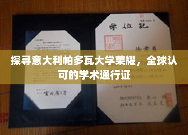 解码帕多瓦大学，国际认可的学术殿堂之谜