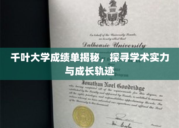 解码千叶大学，一窥学术成就与学子成长路径