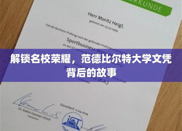 揭开范德比尔特大学荣耀背后的独特传奇