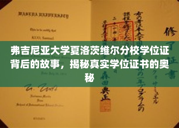 揭秘弗大证书传奇，夏洛茨维尔分校学位背后的神秘面纱
