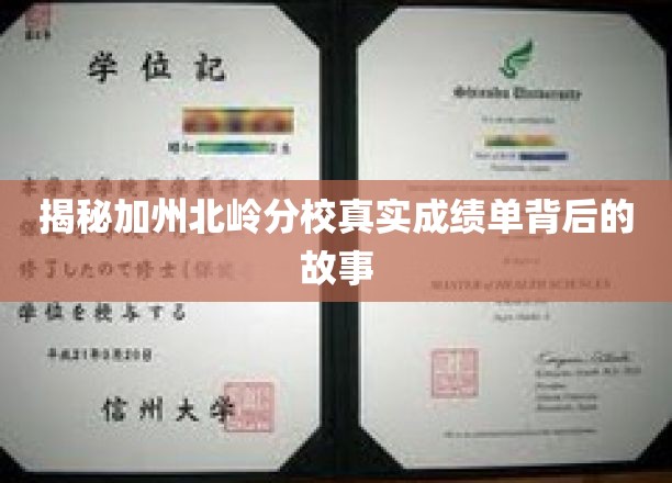 加州北岭分校成绩单背后，揭秘隐藏的学术传奇