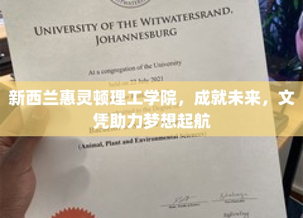 梦想启航点，惠灵顿理工学院铸就国际文凭之路