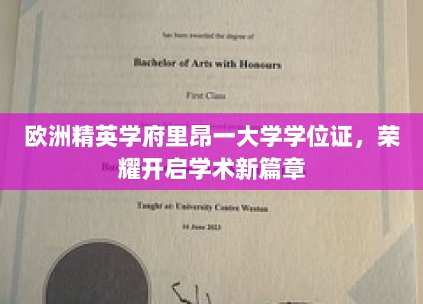 里昂一大学学位荣耀绽放，欧洲精英教育新征程启航