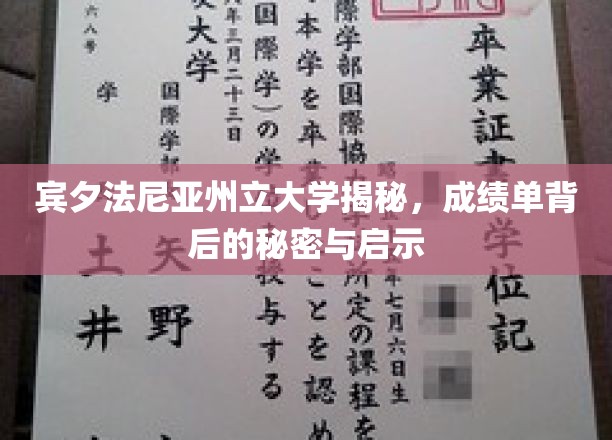 解码宾夕法尼亚州立大学，成绩单背后的深层洞察与人生启示