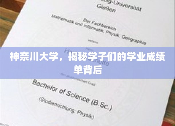 神奈川学子成绩单背后的故事，揭秘青春奋斗轨迹
