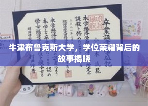 牛津布鲁克斯大学，学位荣耀背后的故事揭晓