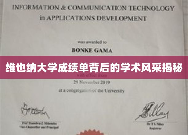 维也纳大学成绩单背后的学术风采揭秘